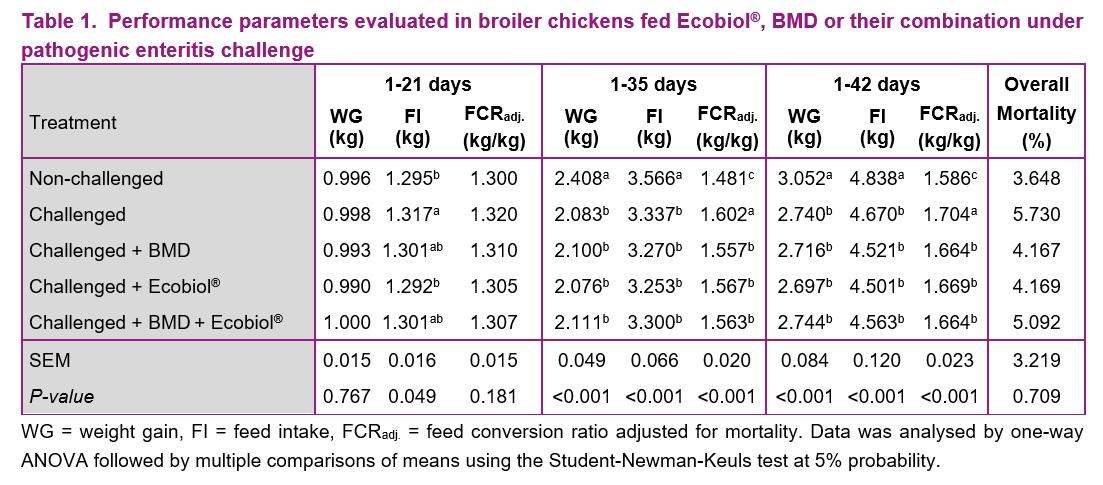 Bacillus amyloliquefaciens CECT 5940 (Ecobiol®) alone or in combination with antibiotic growth promoters improve performance in broilers under enteric pathogen challenge - Image 1