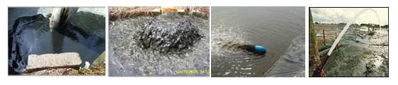 Impact of Pond Waste (Sludge) and its Management for Sustainable Vannamei Shrimp Culture Practice - Image 2