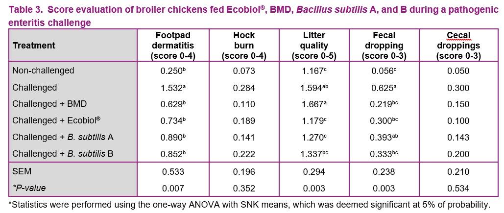 Bacillus amyloliquefaciens CECT 5940 (Ecobiol®) go beyond performance in broilers under enteric pathogen challenge compared to antibiotic growth promoter and other commercially available probiotics - Image 3