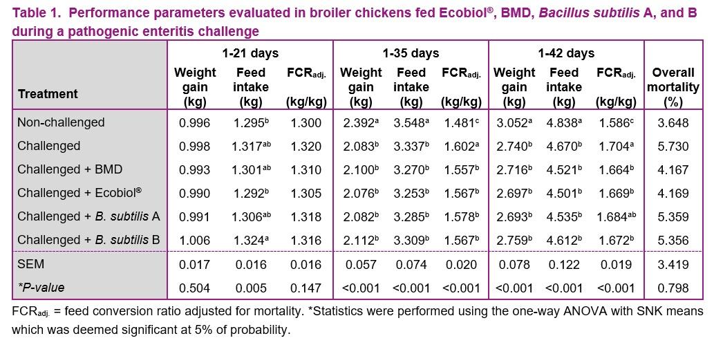 Bacillus amyloliquefaciens CECT 5940 (Ecobiol®) go beyond performance in broilers under enteric pathogen challenge compared to antibiotic growth promoter and other commercially available probiotics - Image 1
