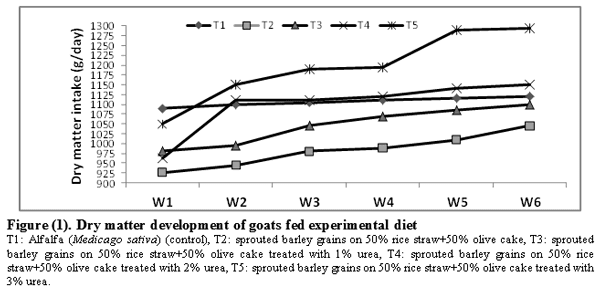Effect of Feeding Sprouted Barley Grains on Rice Straw and Olive Cake on Performance of Goats in Sinai - Image 3