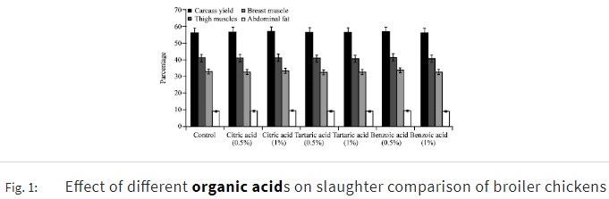 Influence of Three Different Organic Acids on Broiler Performance - Image 9