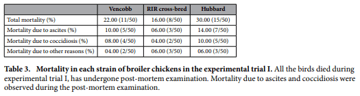 Studies on the growth performance of different broiler strains at high altitude and evaluation of probiotic effect on their survivability - Image 4