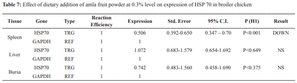 Effect of Dietary Addition of Amla (Emblica officinalis) on Performance and HSP70 Gene Expression in Coloured Broiler Chicken during Extreme Summer - Image 7