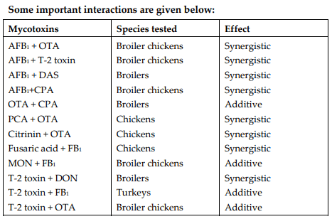 Mycotoxicosis and its Management in Poultry - Image 3
