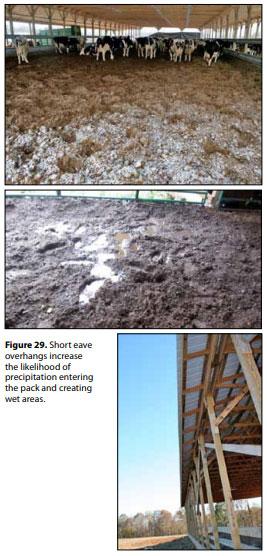 Compost Bedded Pack Barn Design. Features and Management Considerations - Image 31