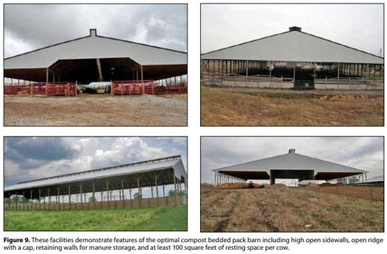 Compost Bedded Pack Barn Design. Features and Management Considerations - Image 10