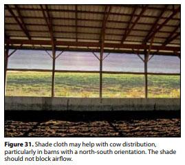 Compost Bedded Pack Barn Design. Features and Management Considerations - Image 33