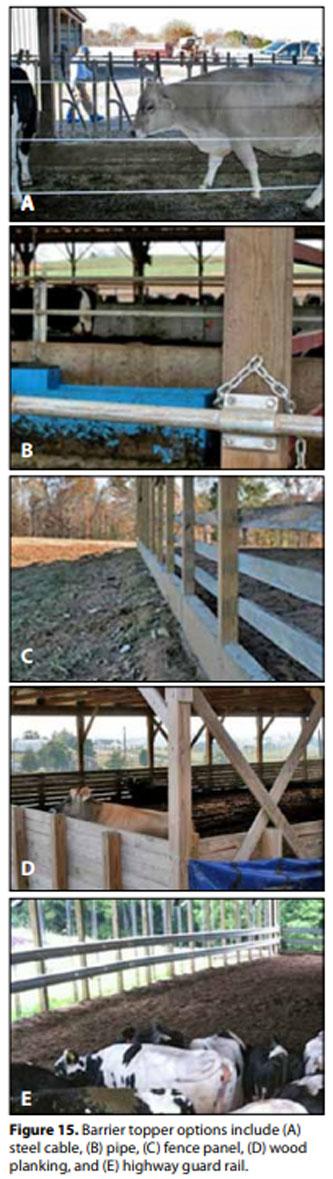 Compost Bedded Pack Barn Design. Features and Management Considerations - Image 16