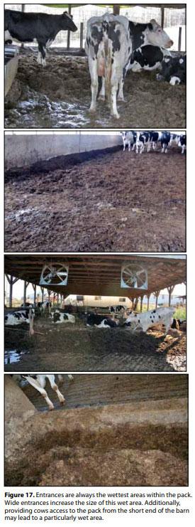 Compost Bedded Pack Barn Design. Features and Management Considerations - Image 18