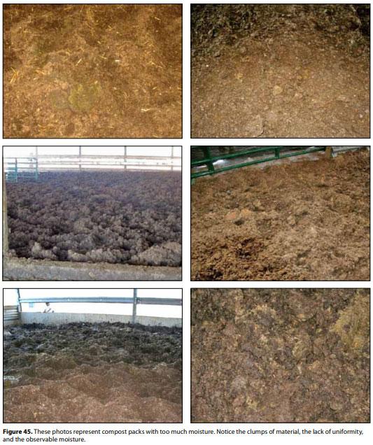 Compost Bedded Pack Barn Design. Features and Management Considerations - Image 47