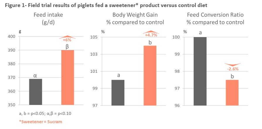 Taste enhancers optimizing performance on piglets through the gut health - Image 1