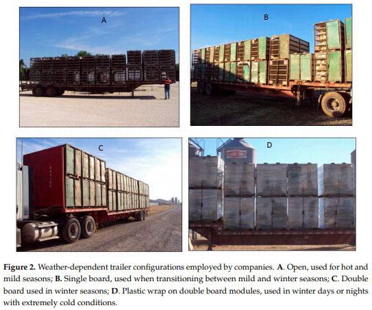 Thermal Micro-Environment during Poultry Transportation in South Central United States - Image 3