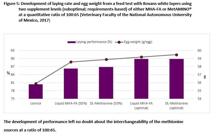 About 128,000 laying hens don’t lie: the nutritional value of DL-methionine hydroxy analogue is 65 % that of MetAMINO® - Image 9