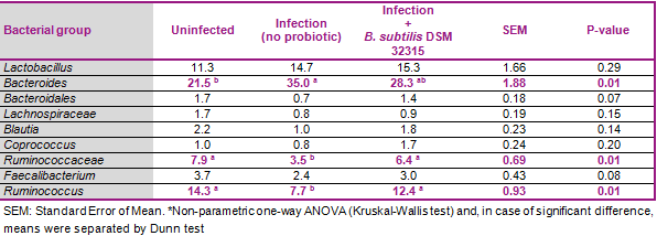 Bacillus subtilis DSM 32315 (GutCare®) restores microbiota composition an promote performance in broilers under necrotic enteritis infection - Image 3