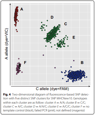 A high-density SNP panel reveals extensive diversity, frequent recombination and multiple recombination hotspots within the chicken major histocompatibility complex B region between BG2 and CD1A1 - Image 4