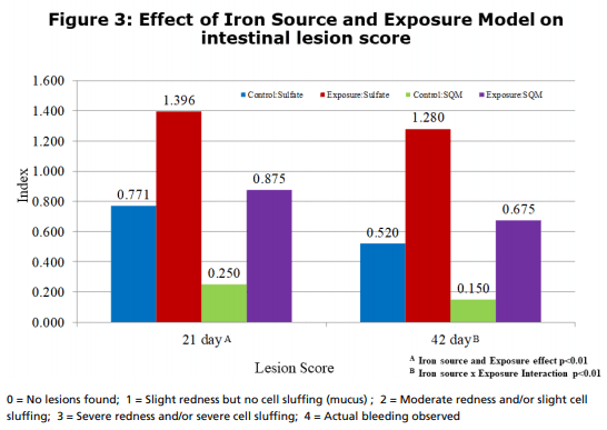 Effect of SQM Iron in Broilers Under Microbial Exposure - Image 4