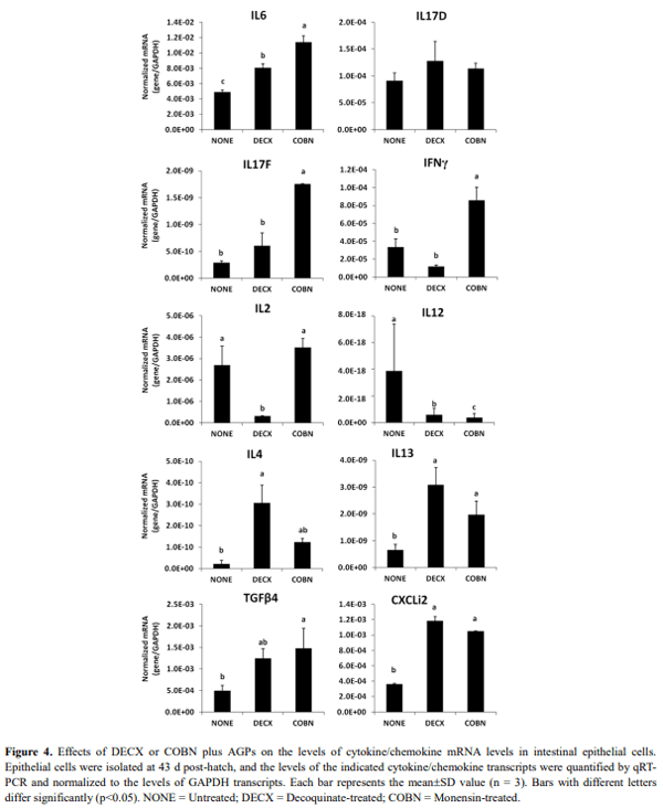 Effect of Dietary Antimicrobials on Immune Status in Broiler Chickens - Image 6