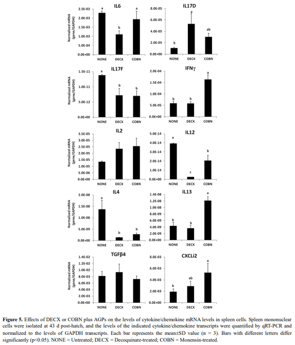 Effect of Dietary Antimicrobials on Immune Status in Broiler Chickens - Image 7