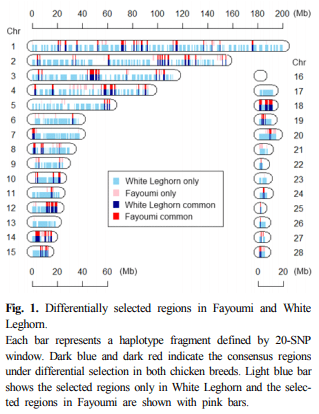 Genomic Regions associated with Necrotic Enteritis Resistance in Fayoumi and White Leghorn Chickens - Image 2