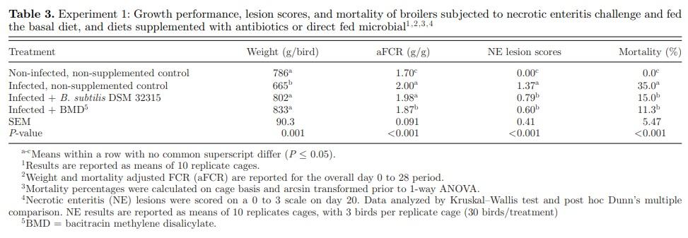 Effect of Bacillus subtilis DSM 32315 on the intestinal structural integrity and growth performance of broiler chickens under necrotic enteritis challenge - Image 3