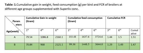 Compensatory Effect of Superliv in feed with reduced energy in broilers - Image 3