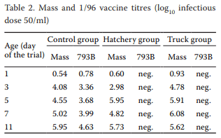 Evaluation of unintended 1/96 infectious bronchitis vaccine transmission in broilers after direct contact with vaccinated ones - Image 2