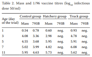 Evaluation of unintended 1/96 infectious bronchitis vaccine transmission in broilers after direct contact with vaccinated ones - Image 1