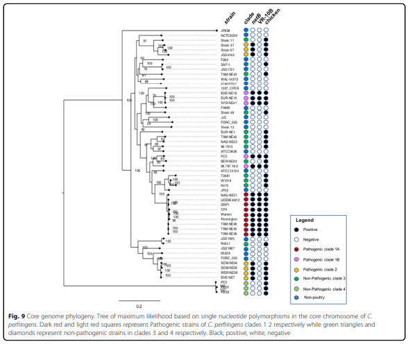 Whole genome analysis reveals the diversity and evolutionary relationships between necrotic enteritis-causing strains of Clostridium perfringens - Image 11