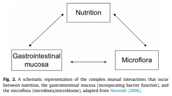Gastrointestinal tract (gut) health in the young pig - Image 2
