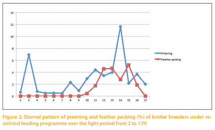 The behavior of broiler breeders under controlled feeding conditions in response to coarse Ca particles scattered in the litter - Image 3