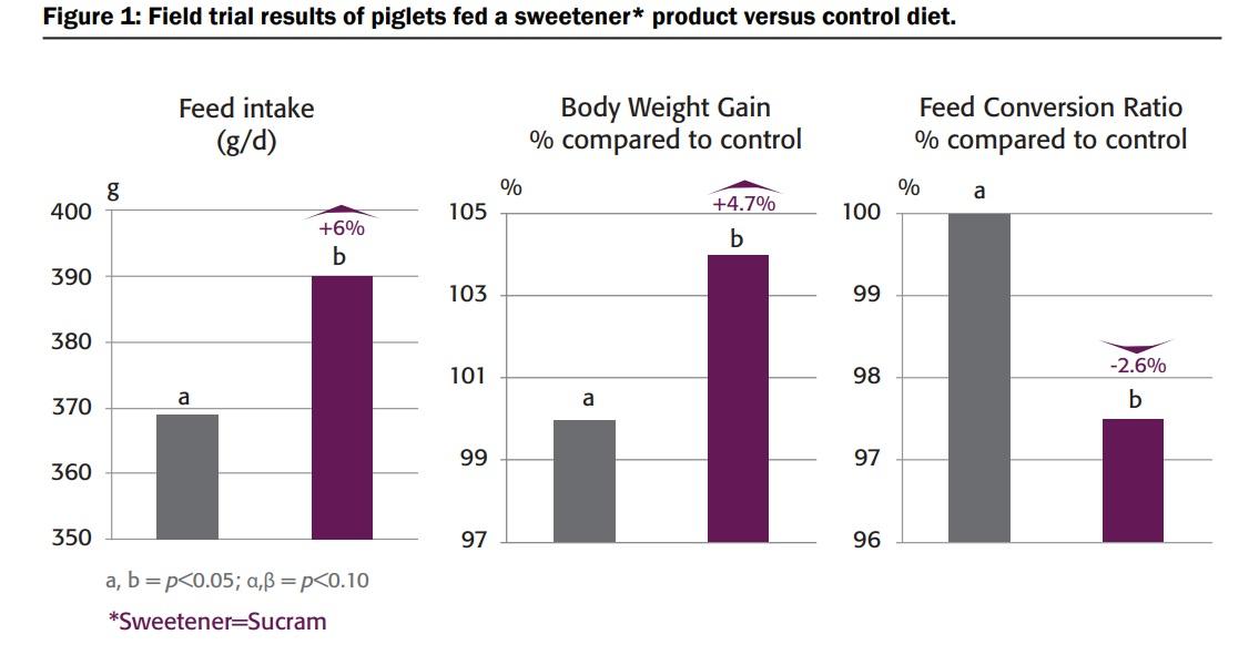 Optimizing piglet performance through appetite stimulation and gut health - Image 2
