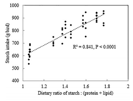 Dietary starch to lipid ratios influence growth performance, nutrient utilisation and carcass traits in broiler chickens offered diets with different energy densities - Image 27