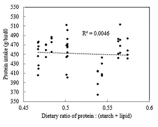 Dietary starch to lipid ratios influence growth performance, nutrient utilisation and carcass traits in broiler chickens offered diets with different energy densities - Image 26
