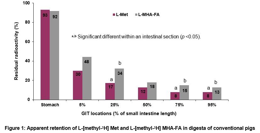 Absorption of DL-Met from gastrointestinal tract of weaned pigs is higher than for MHA-FA - Image 2