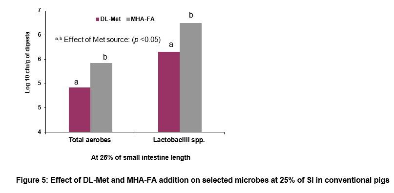 Absorption of DL-Met from gastrointestinal tract of weaned pigs is higher than for MHA-FA - Image 6