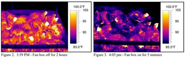Using Pads Without High Air Speeds Results in Elevated Body Temperatures - Image 2