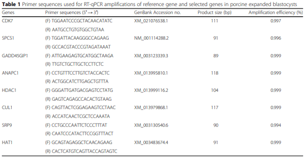 Gene ontology analysis of expanded porcine blastocysts from gilts fed organic or inorganic selenium combined with pyridoxine - Image 1
