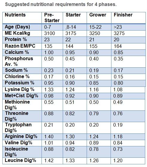 Precision nutrition for high performance broilers - Image 14
