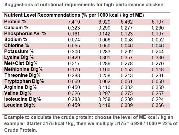 Precision nutrition for high performance broilers - Image 13