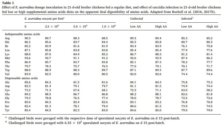 Effects of dietary amino acids in ameliorating intestinal function during enteric challenges in broiler chickens - Image 1
