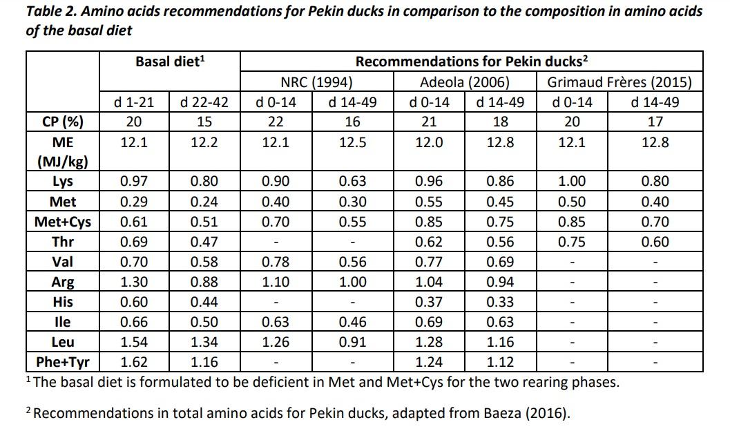 An optimal duck performance on growing and feathering with 100% efficient methionine sources: OHMethionine or DL-Methionine - Image 2