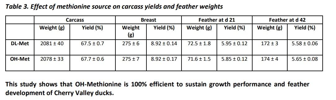 An optimal duck performance on growing and feathering with 100% efficient methionine sources: OHMethionine or DL-Methionine - Image 3