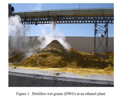 Best Practices for Handling & Storing Wet Distillers Coproducts - Image 1