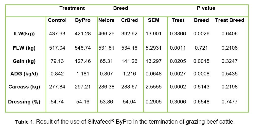 Improved Performance of Grass-fed Beef supplemented with Silvafeed® ByPro - Image 3