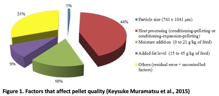 Optimising pellet processing to boost pellet quality and profitability - Image 2