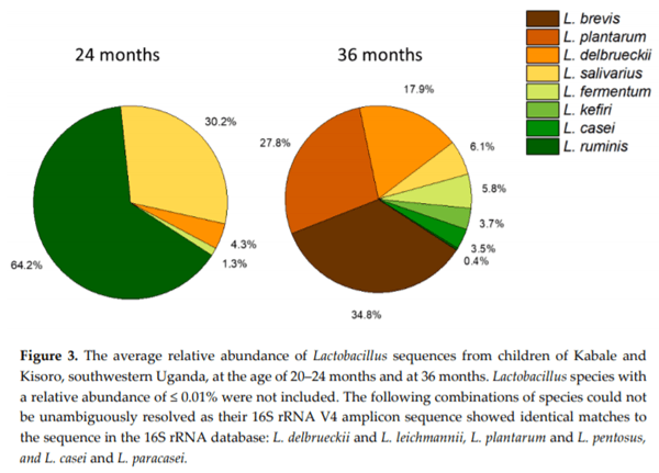 Aflatoxins: Occurrence, Exposure, and Binding to Lactobacillus Species from the Gut Microbiota of Rural Ugandan Children - Image 6