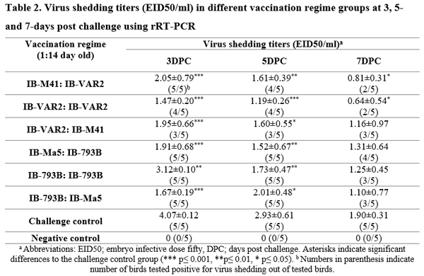 Protective Efficacy of Different Live Attenuated Infectious Bronchitis Virus Vaccination Regimes Against Challenge With IBV Variant-2 Circulating in the Middle East - Image 4