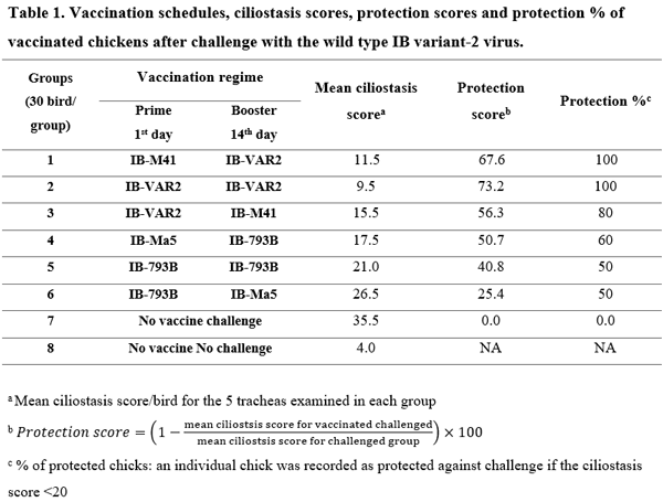 Protective Efficacy of Different Live Attenuated Infectious Bronchitis Virus Vaccination Regimes Against Challenge With IBV Variant-2 Circulating in the Middle East - Image 3