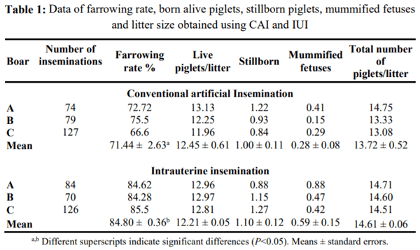 Improved farrowing rate using intrauterine insemination in sows - Image 1